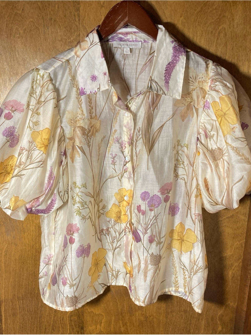 Lucky & Coco Sheer Bohemian Blouse Sz S Floral Puff Sleeve Feminine Chiffon